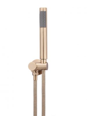 Champagne Portable Hand Shower